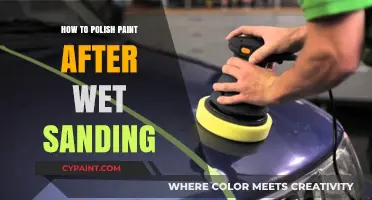 Mastering Paint Polishing: Essential Steps After Wet Sanding for a Flawless Finish
