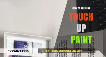 Mastering Touch-Up Paint Prep: Essential Steps for Flawless Results