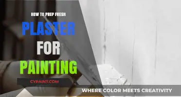 Prepping Fresh Plaster for Painting: Essential Steps for a Smooth Finish