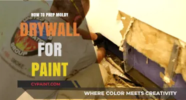 Prepping Moldy Drywall for Paint: A Step-by-Step Guide to Restoration