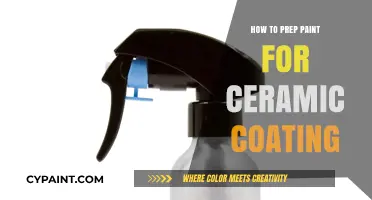 Prepping Paint for Ceramic Coating: Essential Steps for Perfect Results