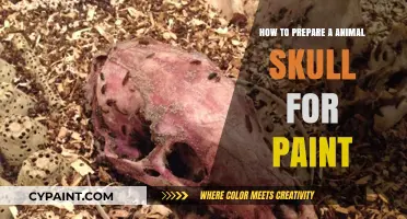 Preparing Animal Skulls for Painting: A Step-by-Step Cleaning Guide