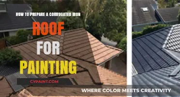 Preparing Corrugated Iron Roofs for Painting: A Step-by-Step Guide
