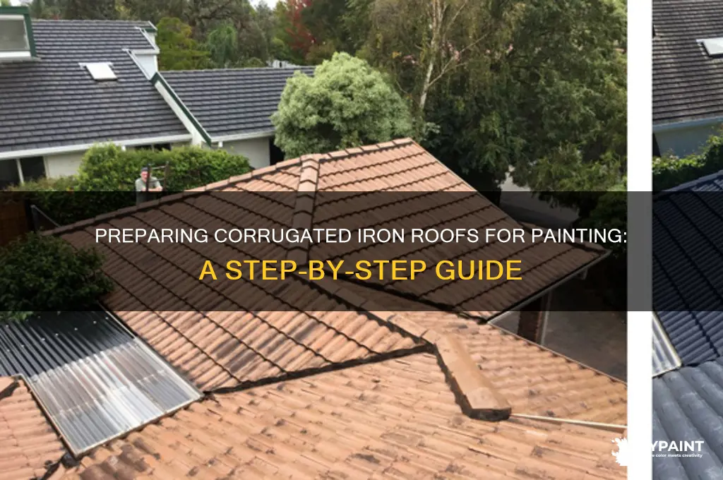 how to prepare a corrugated iron roof for painting