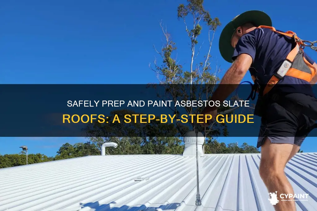how to prepare and paint asbestos slate roof