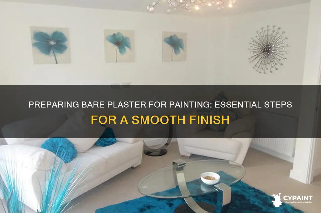 how to prepare bare plaster for painting