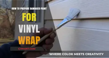 Revive and Wrap: Prepping Damaged Paint for Vinyl Installation