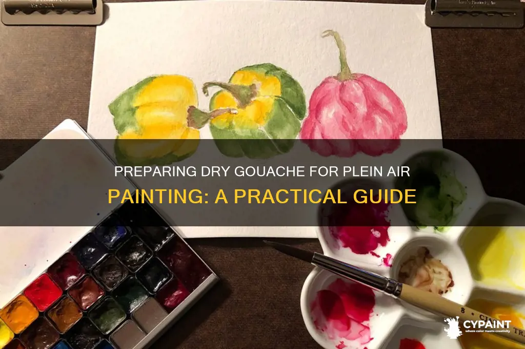 how to prepare dry gouache for plein air painting