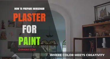 Preparing Horsehair Plaster Walls: A Step-by-Step Guide to Painting Success