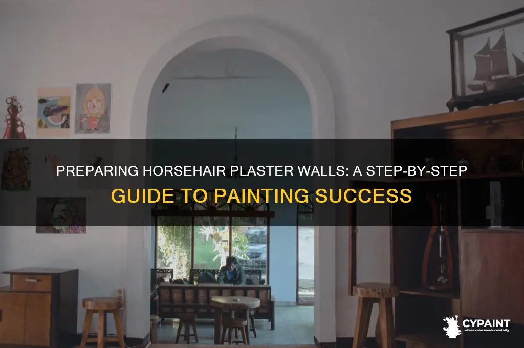 how to prepare horsehair plaster for paint