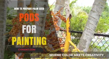 Mastering the Art: Preparing Palm Seed Pods for Creative Painting