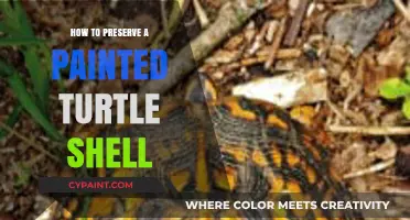 Preserving Painted Turtle Shells: Essential Care and Conservation Tips