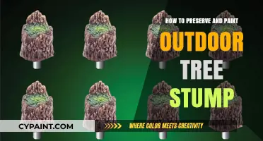 Creative Stump Transformation: Preserving and Painting Outdoor Tree Stumps