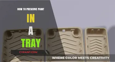 Effective Tips for Preserving Paint in a Tray Longer