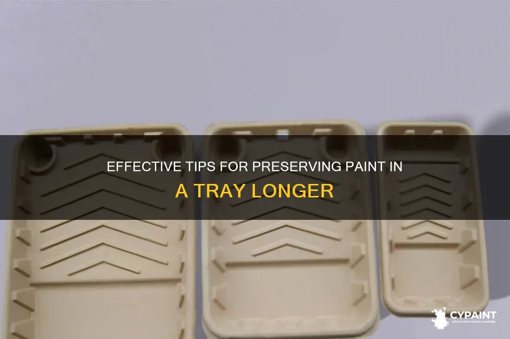 how to preserve paint in a tray