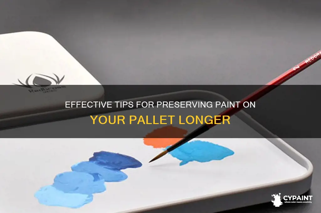 how to preserve paint on a pallet