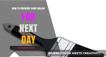 Quick Tips to Preserve Your Paint Roller Overnight for Reuse