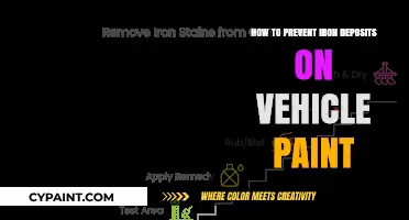 Prevent Iron Deposits: Protect Your Vehicle's Paint with These Tips