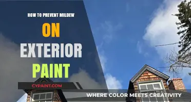 Effective Strategies to Prevent Mildew on Exterior Paint Surfaces