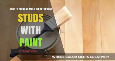 Prevent Mold on Bathroom Studs: Paint Protection