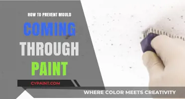 Effective Strategies to Stop Mould from Penetrating Your Painted Walls