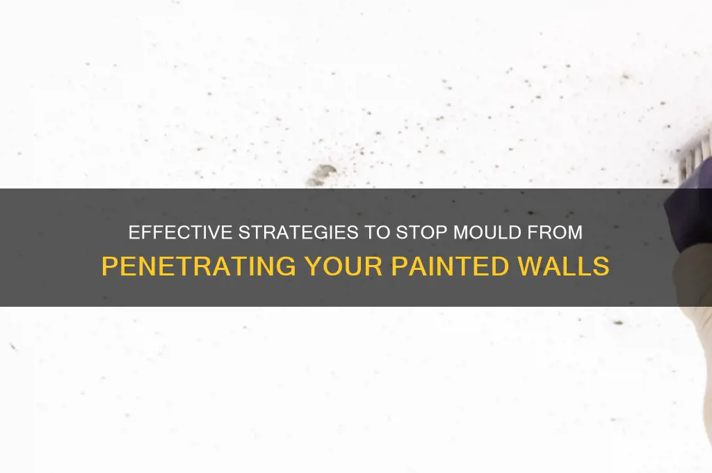 how to prevent mould coming through paint