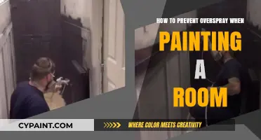 Prevent Overspray: Tips for a Clean, Efficient Room Painting Project