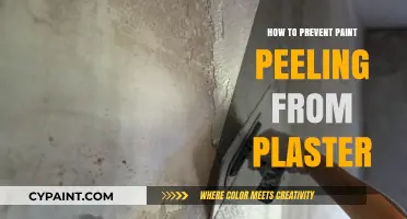 Prevent Paint Peeling: Essential Tips for Durable Plaster Walls