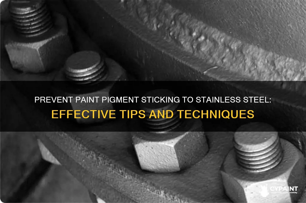 how to prevent paint pigment to sticking to stainless steel