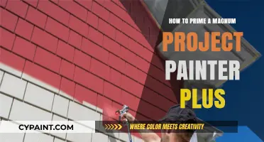 Mastering the Magnum Project Painter Plus: A Step-by-Step Priming Guide