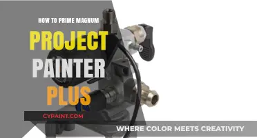 Mastering the Magnum Project Painter Plus: A Step-by-Step Priming Guide