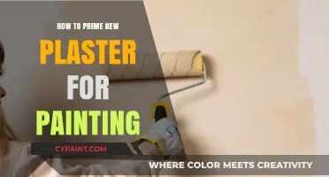 Mastering the Art of Priming New Plaster for Flawless Painting
