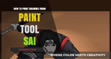 Mastering Print Settings: How to Print Drawings from Paint Tool SAI