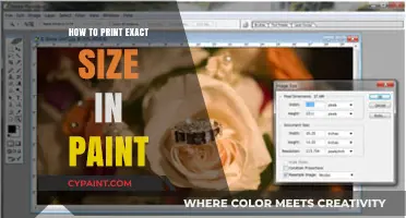 Mastering Print Precision: How to Print Exact Size in Paint