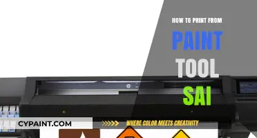 Mastering Print Settings in Paint Tool SAI: A Step-by-Step Guide