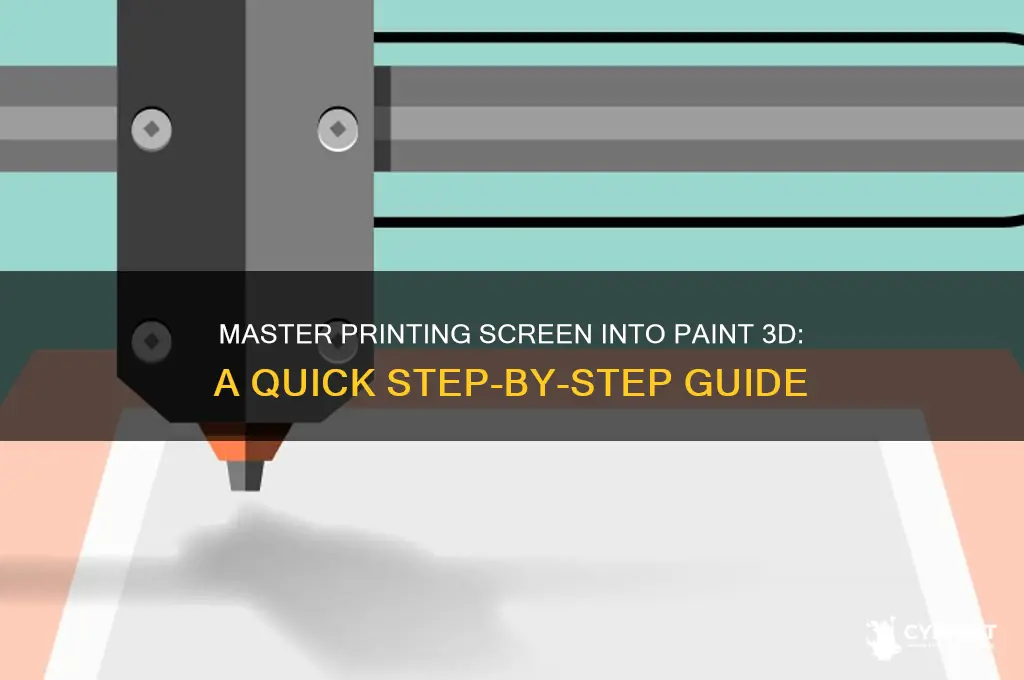 how to print screen into paint 3d