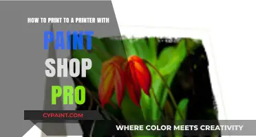 Mastering Print Settings in PaintShop Pro: A Step-by-Step Guide