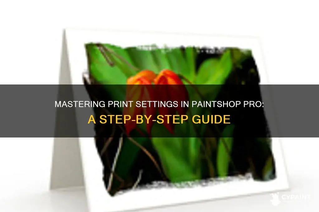 how to print to a printer with paint shop pro