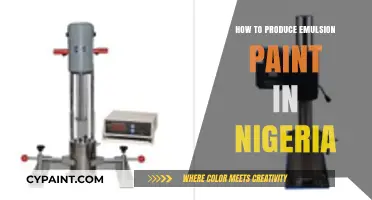Step-by-Step Guide to Manufacturing Emulsion Paint in Nigeria