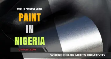 Mastering Gloss Paint Production: A Comprehensive Guide for Nigerian Manufacturers