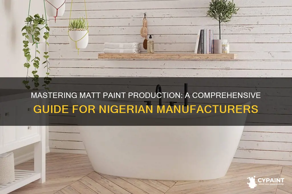 how to produce matt paint in nigeria