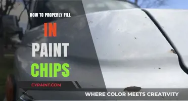 Mastering Paint Chip Repairs: A Step-by-Step Guide to Flawless Results