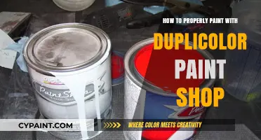 Mastering Dupli-Color Paint Shop: A Step-by-Step Painting Guide