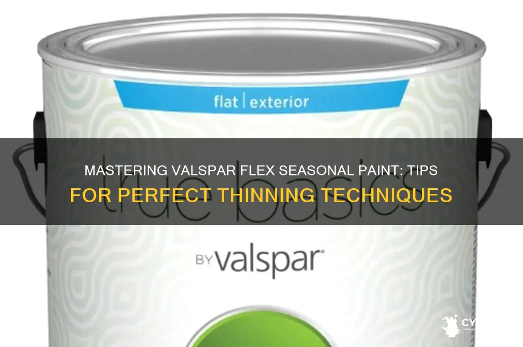 how to properly thin valspar flex seasonal paint