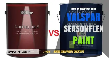 Mastering Valspar SeasonFlex: Tips for Perfect Paint Thinning Techniques