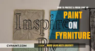 Safeguard Your Furniture: Tips to Protect Freshly Painted Surfaces