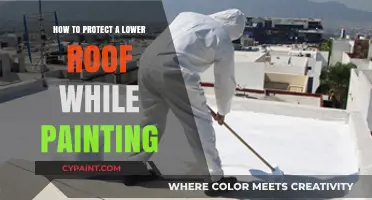 Safeguard Your Lower Roof: Essential Tips for Painting Protection