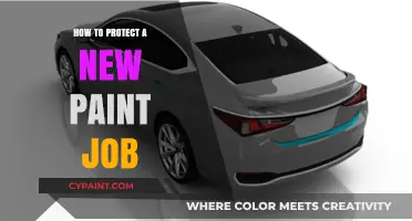 Shield Your Fresh Paint: Essential Tips to Protect Your New Paint Job