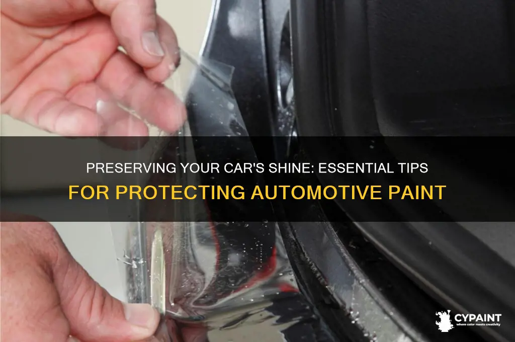 how to protect an automotive painted finish