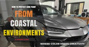Shielding Your Audi's Paint: Coastal Environment Protection Tips